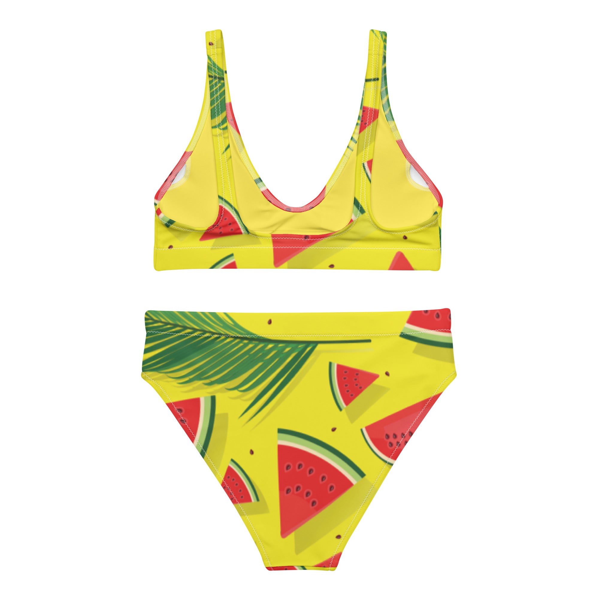 Watermelon High-Waisted Bikini